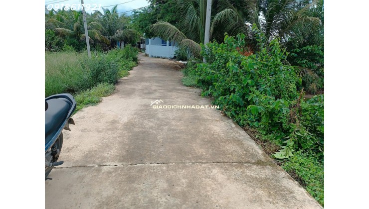 Đất thổ cư chính chủ 5x24m – giá mềm cho người thật việc thật